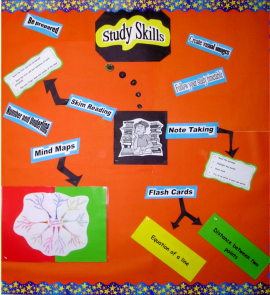 Learning and study skills need to be supported and developed across subject areas. Learning and study skills need to be supported and developed across subject areas.