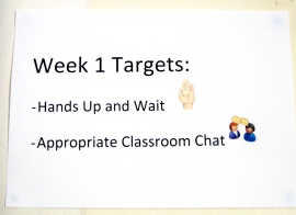 Level 2 targeted interventions can involve working with a particular class group to explicitly teach rules and routines that are applicable to all classroom situations. 