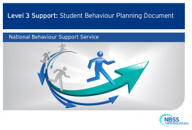 There is a structured system of referral for all NBSS Level 3 interventions. 