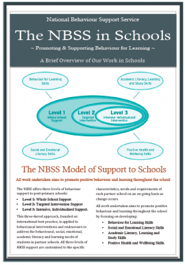 In this resource find out about the multiplicity of initiatives, interventions and projects NBSS works with schools to develop. 