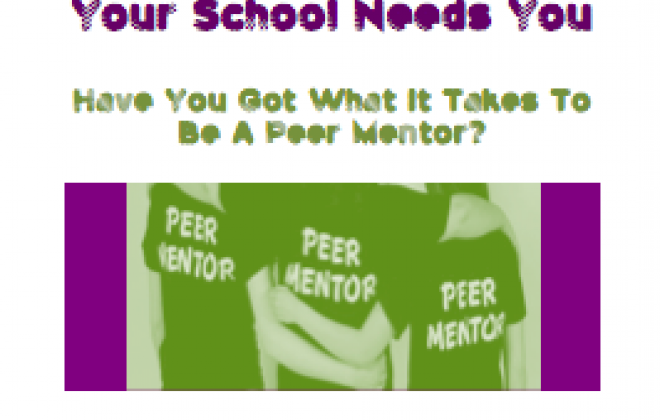 Peer Mentoring Programmes can make a valuable contribution to the overall ethos of the school, pastoral support systems and positive behaviour support structures.