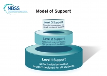 Through its Model of Support the NBSS promotes and supports positive behaviour for learning through the provision of a systematic continuum of support, grounded in evidence-based practice.