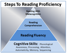 Good readers learn how to use cognitive and metacognitive strategies in conjunction to develop a deeper understanding of a subject topic, a character’s motives, a theme, etc.