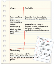 Strategies such as 'Two-Column or Cornell Note Taking' can support the development of key skills, for example summarising, as well as aid retention and recall.
