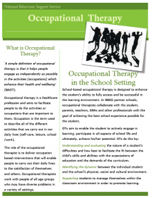 Information on occupational therapy in the school setting can be found in the 'Resources & Publications' section of the website.