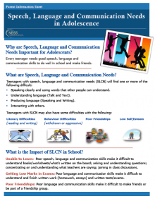 The NBSS Speech and Language Therapist works to develop and maximise students’ speech, language and communication needs as well as their learning and socialisation skills.