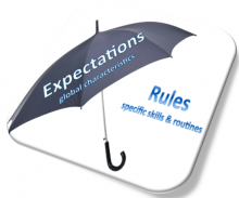 Expectations and rules are key elements of school-wide positive behaviour support.