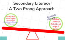 Two key elements of a whole school approach: (1) Promoting the importance of reading for pleasure (2) Explicitly teaching, in each subject area, those skills (e.g. reading, writing, speaking, viewing, listening, and questioning, etc) that lead to the ability to critically assess and use information in that discipline.