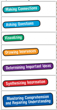 Seven key comprehension strategies can be taught using the CSI resource.