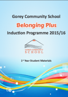 The NBSS Belonging Plus+ programme can be tailored to meet the individual needs of each school.