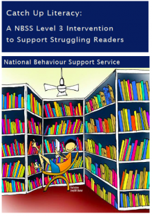 This report presents the findings from the Catch Up Literacy intervention, a one-to-one structured literacy intervention in NBSS partner schools.